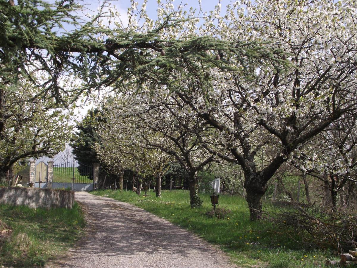 Domaine Des Cigales, Chambre D'Hotes Saint-Martin-d'Aout Esterno foto